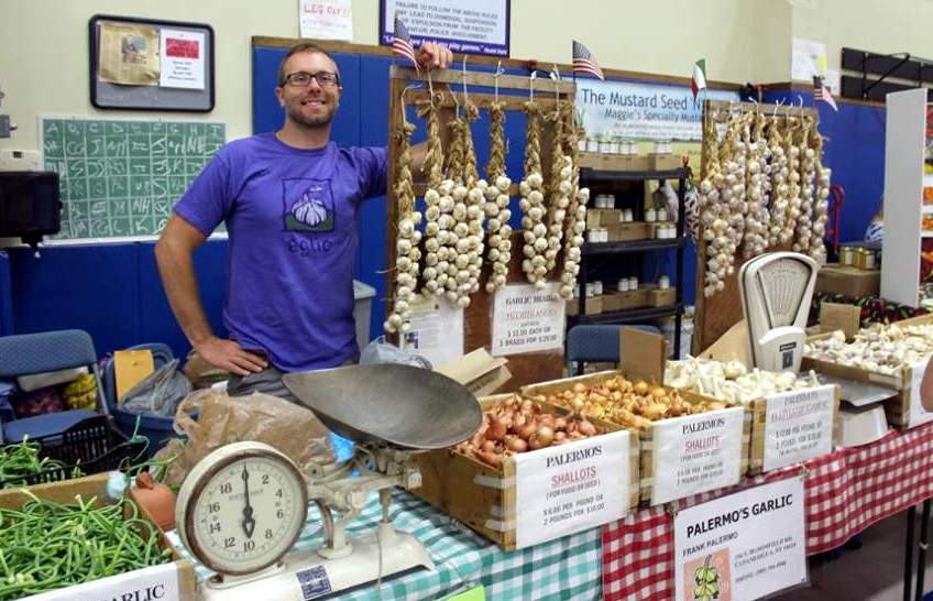 The garlic is BACK! webster on the web